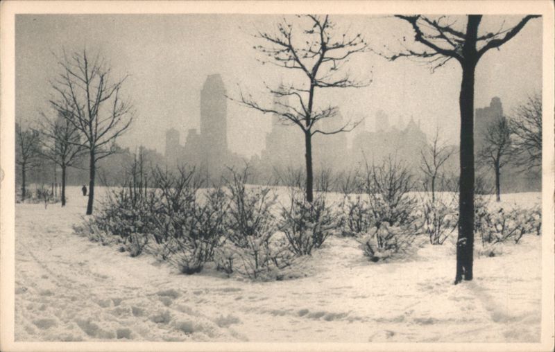 Central Park Winter Snow Scene, Bare Trees & Buildings New York