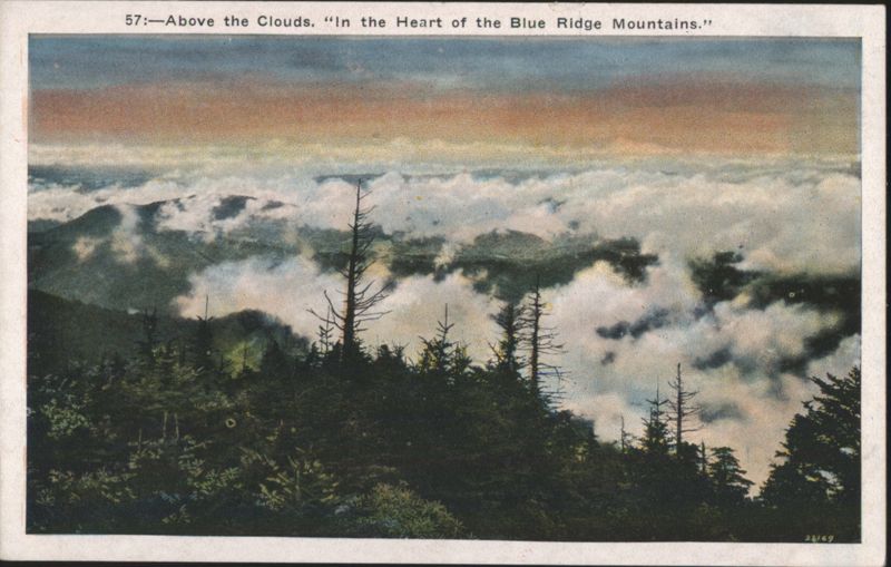 Above the Clouds in the Heart of the Blue Ridge Mountains Asheville North Carolina