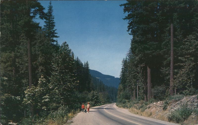 Willamette Pass, OR - Road through Forest & Mountains Oregon