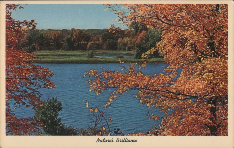 Autumn Lake View - Nature's Brilliance Seasons