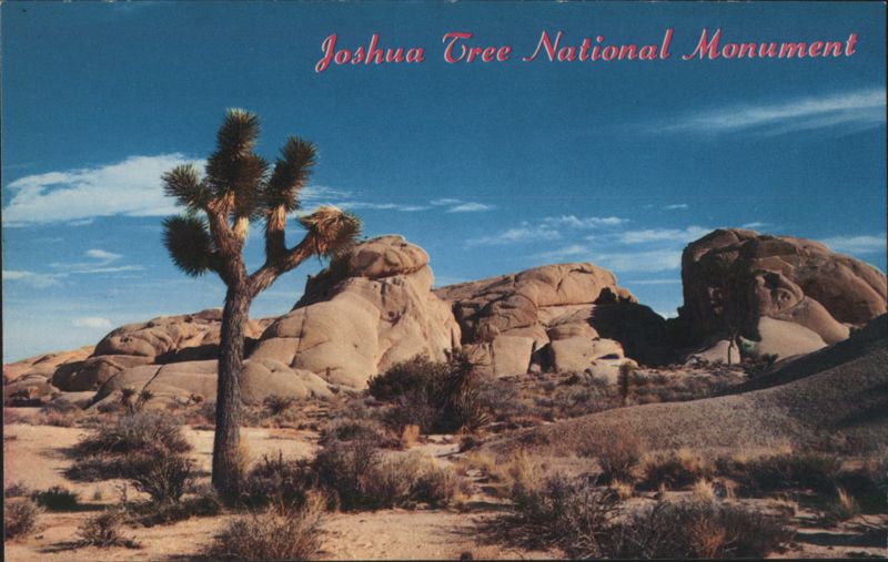Joshua Tree National Monument Desert Landscape Twentynine Palms California