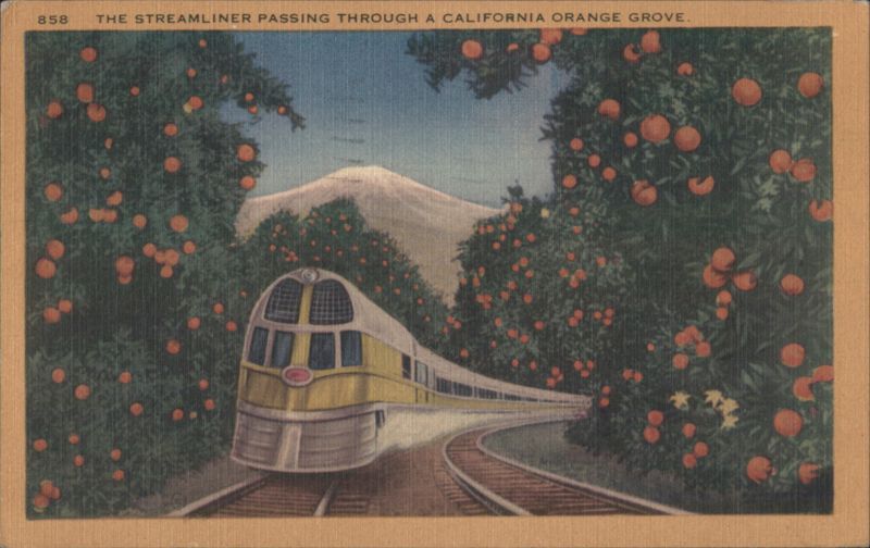 Streamliner Train in California Orange Grove