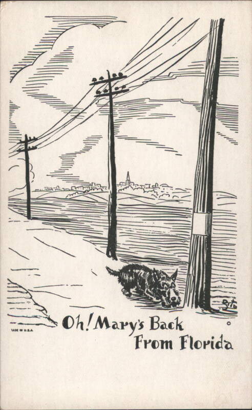 Humorous Dog in Snow, Oh! Mary's Back From Florida