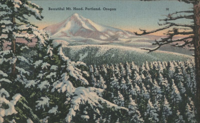 Beautiful Mt. Hood, Snow-Covered Trees Portland Oregon