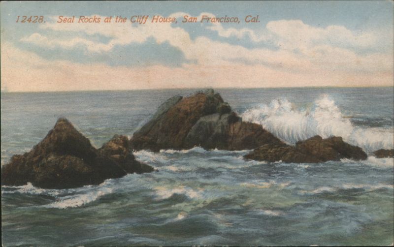 Seal Rocks at the Cliff House, San Francisco California