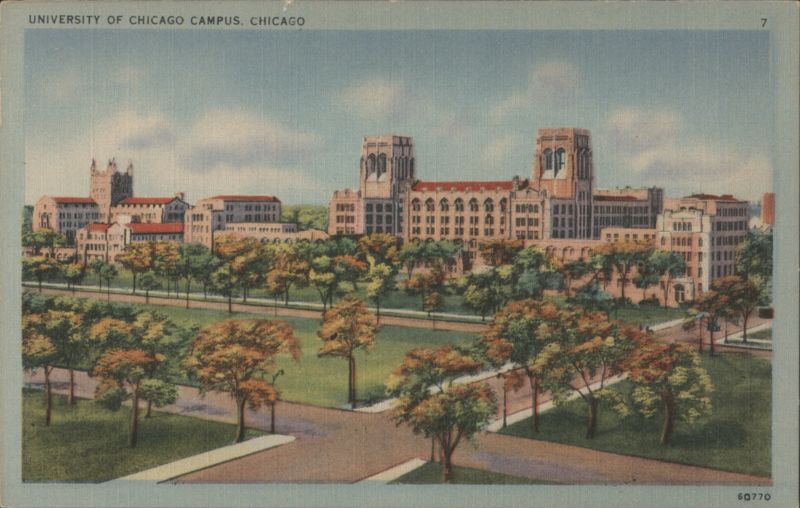 University of Chicago Campus, Tree-Lined Quad Illinois