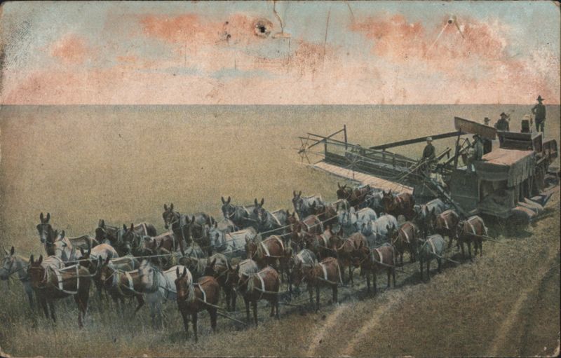 Harvesting Scene, Combine Harvester, Fresno County, CA California