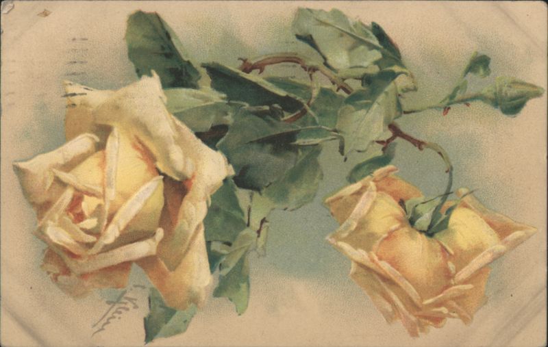 Yellow Roses by V. Klein Flowers