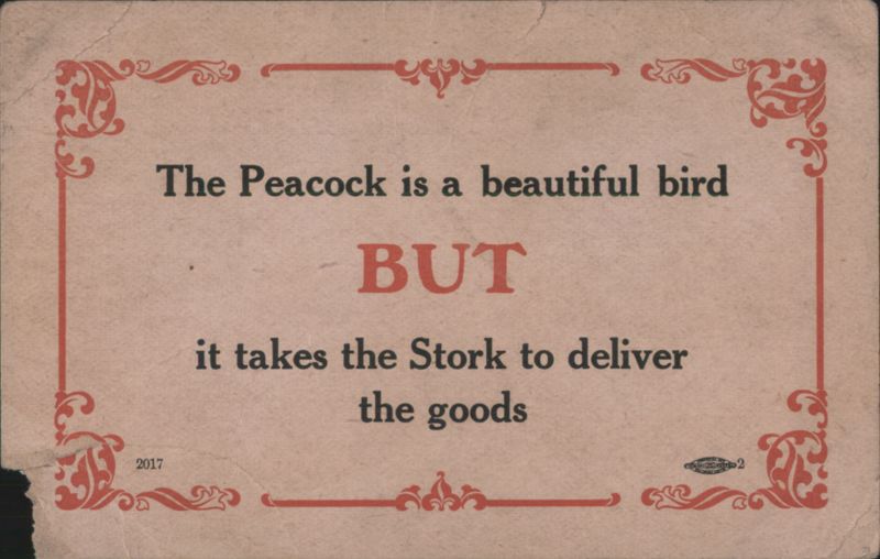 Peacock & Stork Deliver Goods Proverb, Ornate Border