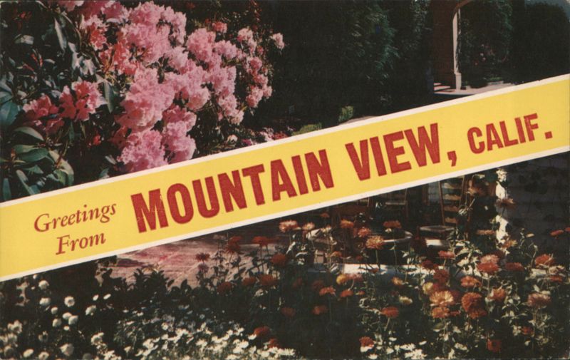 Greetings From Mountain View, Calif. Flowers California