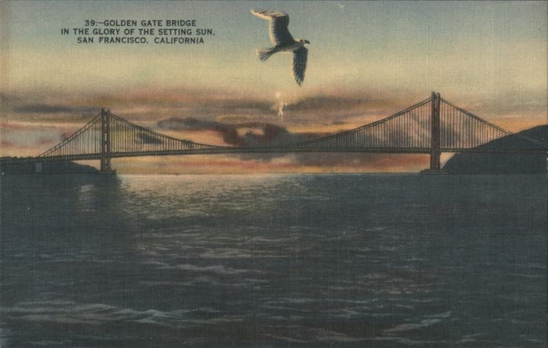 Golden Gate Bridge, Setting Sun with Seagull San Francisco California