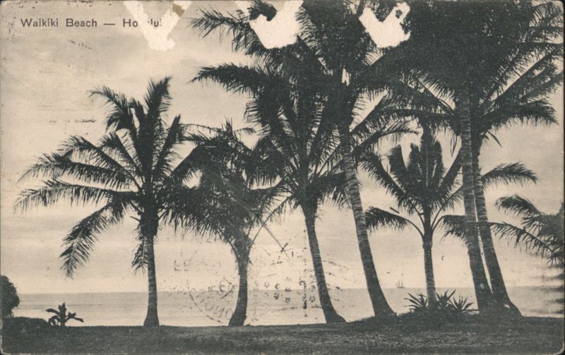 Waikiki Beach Palm Trees Ocean View Honolulu Hawaii