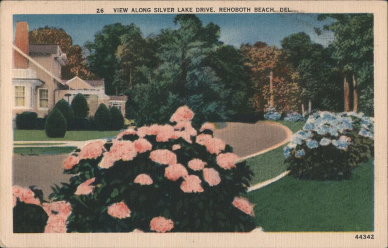 View Along Silver Lake Drive Rehoboth Beach Delaware