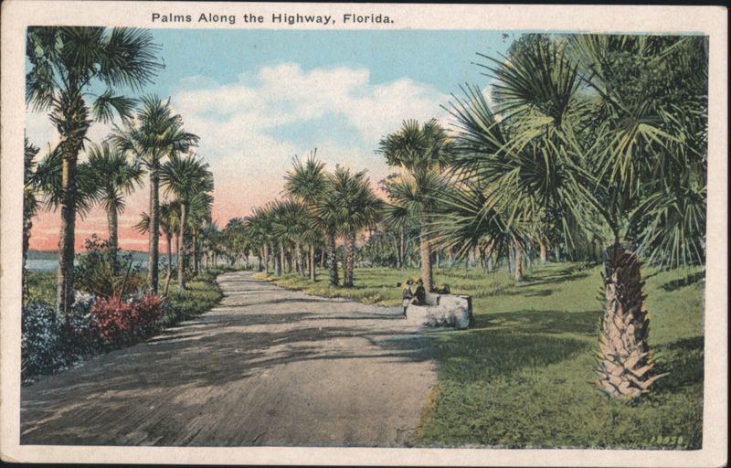 Palms Along the Highway Florida