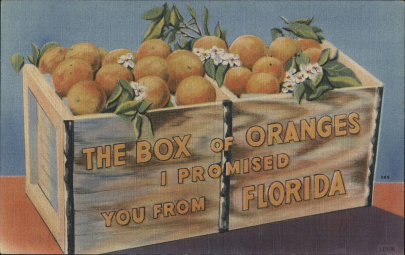The Box of Oranges I Promised You from Florida Fruit