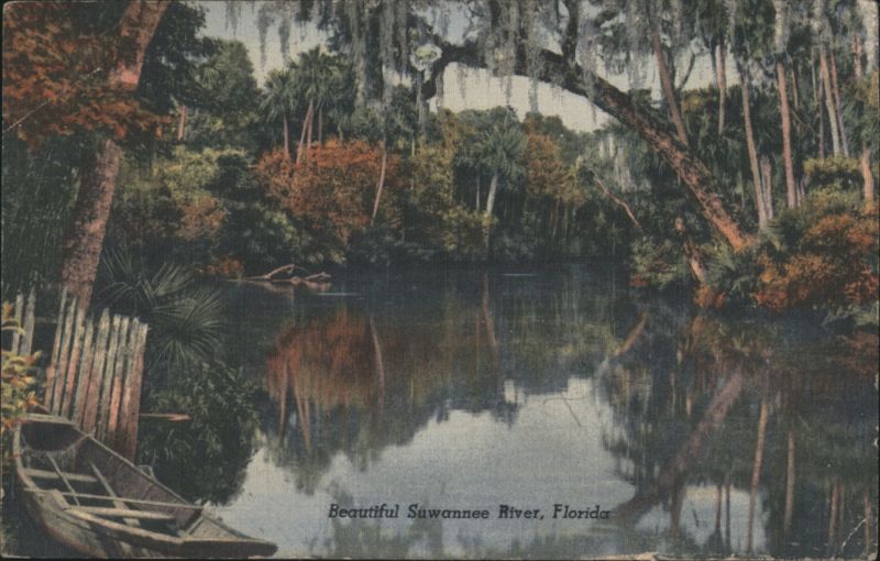 Beautiful Suwannee River, Florida