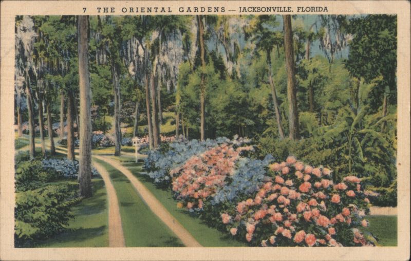 Oriental Gardens Path & Blooming Flowers Jacksonville Florida
