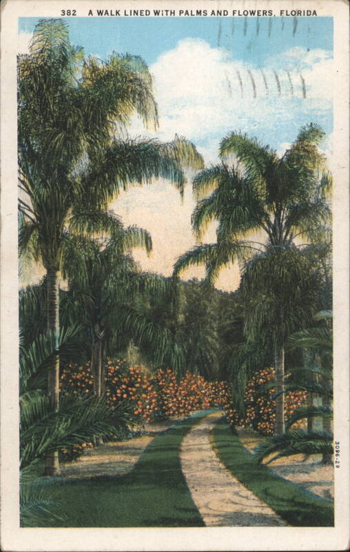 A Walk Lined with Palms and Flowers, Florida