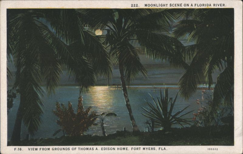Moonlight Scene on a Florida River, Edison Home Grounds Fort Myers