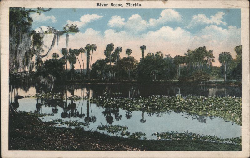 River Scene with Water Lilies & Mossy Trees, Florida