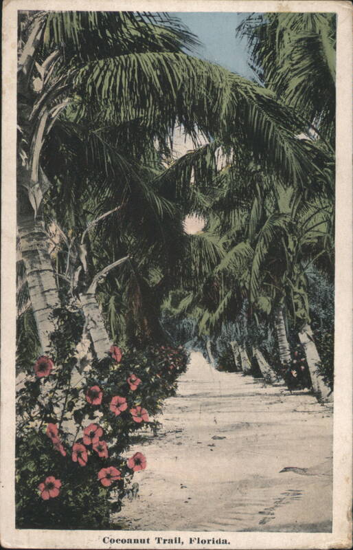 Cocoanut Trail, Palm Trees & Hibiscus Flowers Florida