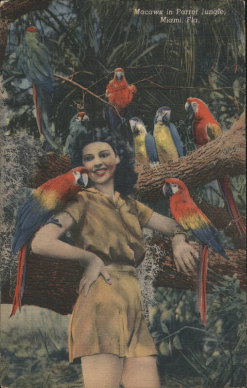 Woman with Macaws, Parrot Jungle Miami Florida