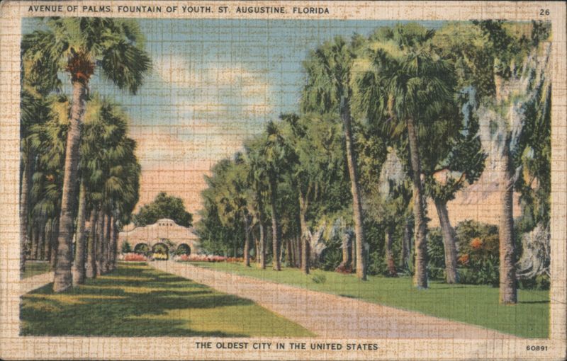 Avenue of Palms, Fountain of Youth, St. Augustine Florida