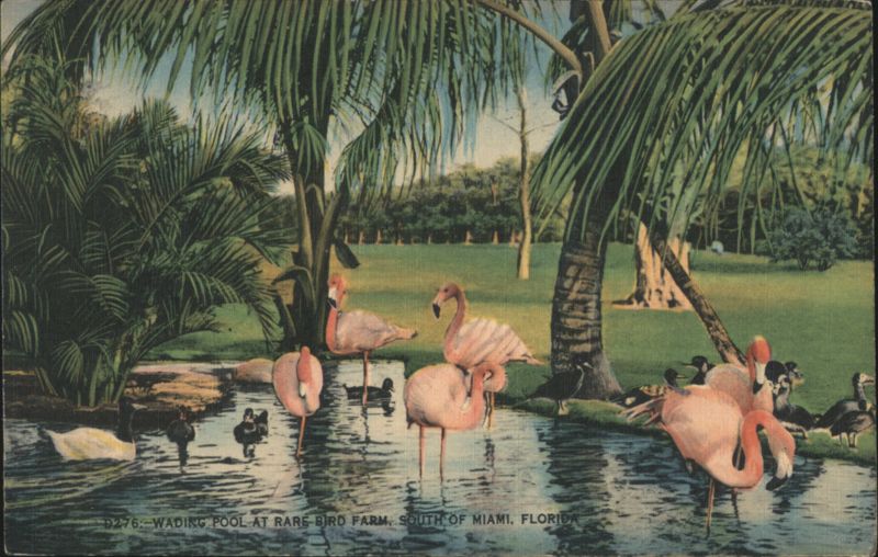 Wading Pool at Rare Bird Farm, South of Miami, Florida