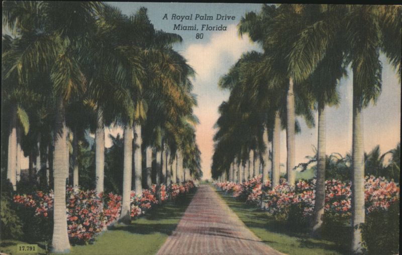 A Royal Palm Drive, Miami, Florida