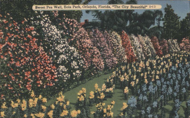 Sweet Pea Wall, Eola Park, Orlando, Florida