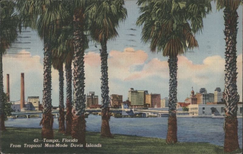 Tropical Man-Made Davis Islands, Tampa Skyline & Palms Florida