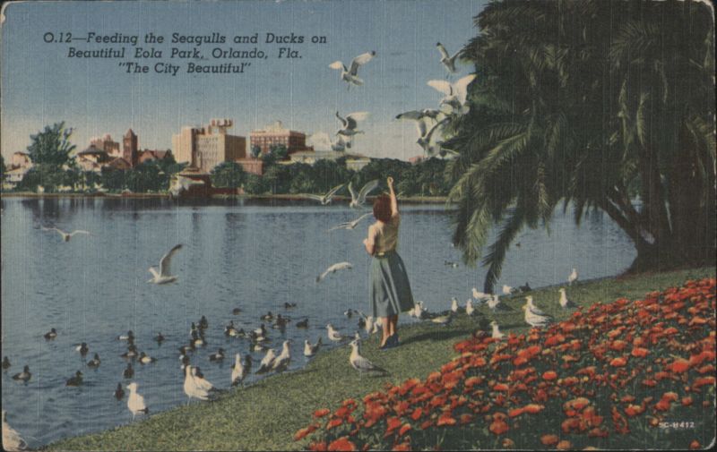 Feeding Seagulls & Ducks, Lake Eola Park - The City Beautiful Orlando Florida