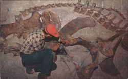 Relieving Fossil Dinosaur Bone, Dinosaur National Monument Postcard