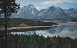 Jackson Lake & Teton Range Reflection Postcard