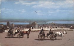 Old French Horsedrawn Carriages on Mount Royal Postcard