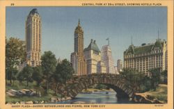 Central Park at 59th Street, Plaza, Savoy, Sherry-Netherlands Postcard