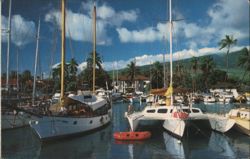 Lahaina Yacht Harbor, Maui, Hawaii Postcard