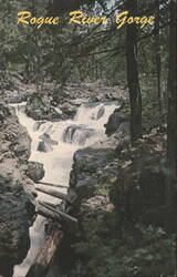 Rogue River Gorge - Union Creek, Oregon Postcard