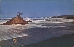 Fogerty Creek, Depoe Bay, Oregon Coast Postcard