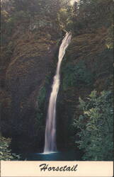 Horsetail Falls, Columbia River Highway, OR Postcard