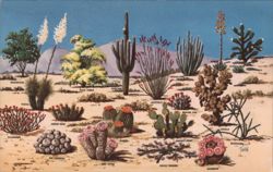 Cacti and Desert Flora of the Great Southwest Postcard