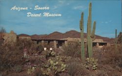Arizona-Sonora Desert Museum, Tucson Mountain Park Postcard