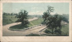 Winding Road in Schenley Park, Pittsburg PA Postcard