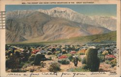 The Desert and Snow Capped Mountains in the Great Southwest Postcard
