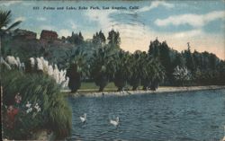 Palms and Lake, Echo Park Postcard