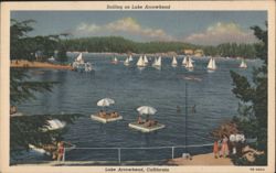 Sailing on Lake Arrowhead Postcard