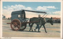 Peking Cart with Driver and Passenger Postcard