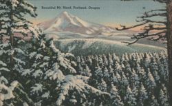 Beautiful Mt. Hood, Snow-Covered Trees Postcard