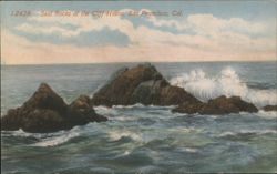 Seal Rocks at the Cliff House, San Francisco Postcard