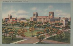 University of Chicago Campus, Tree-Lined Quad Postcard